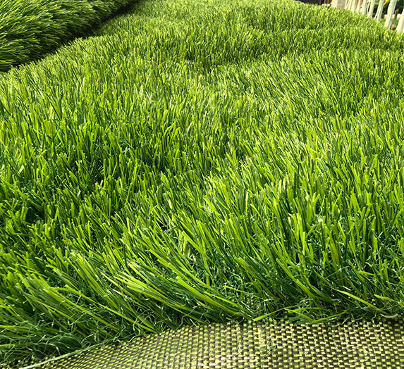 Leisure grass